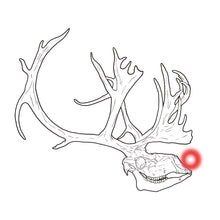 Load image into Gallery viewer, RUDOLPH - T-Shirt
