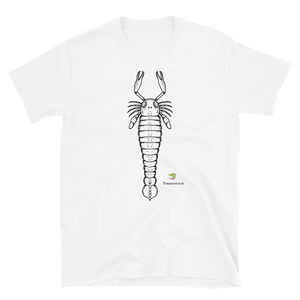 PTERYGOTUS SP - T-shirt